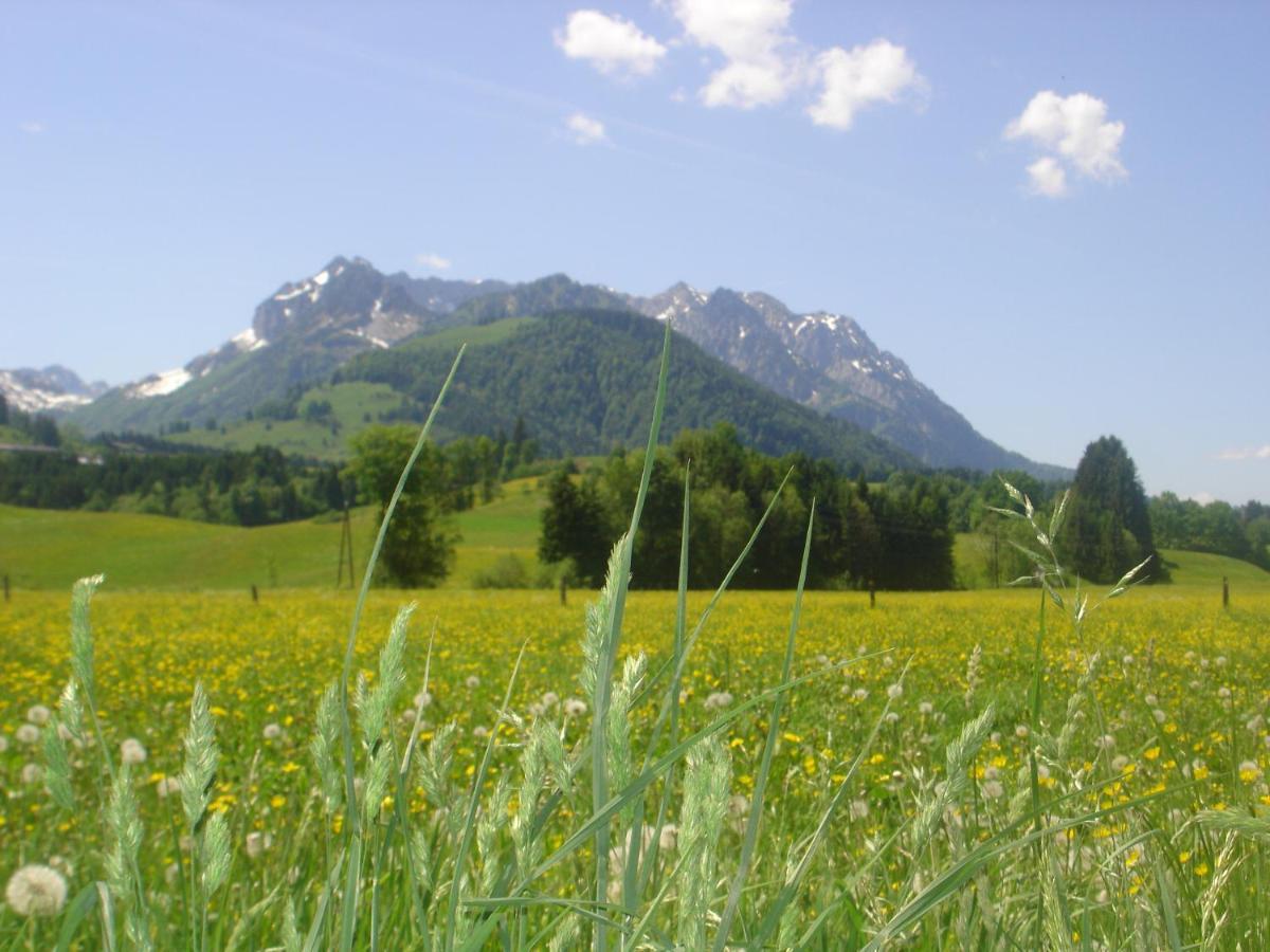 Bio-Bauernhof Bachangerhof كوسن المظهر الخارجي الصورة