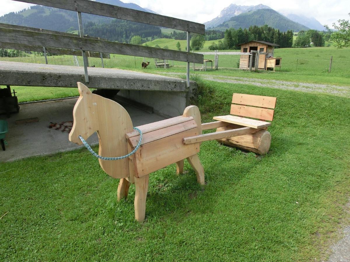 Bio-Bauernhof Bachangerhof كوسن المظهر الخارجي الصورة