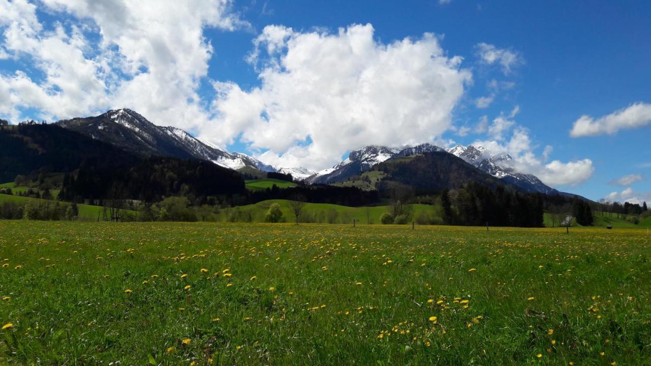 Bio-Bauernhof Bachangerhof كوسن المظهر الخارجي الصورة