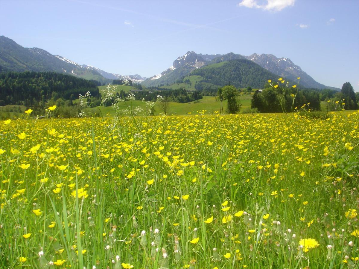 Bio-Bauernhof Bachangerhof كوسن المظهر الخارجي الصورة