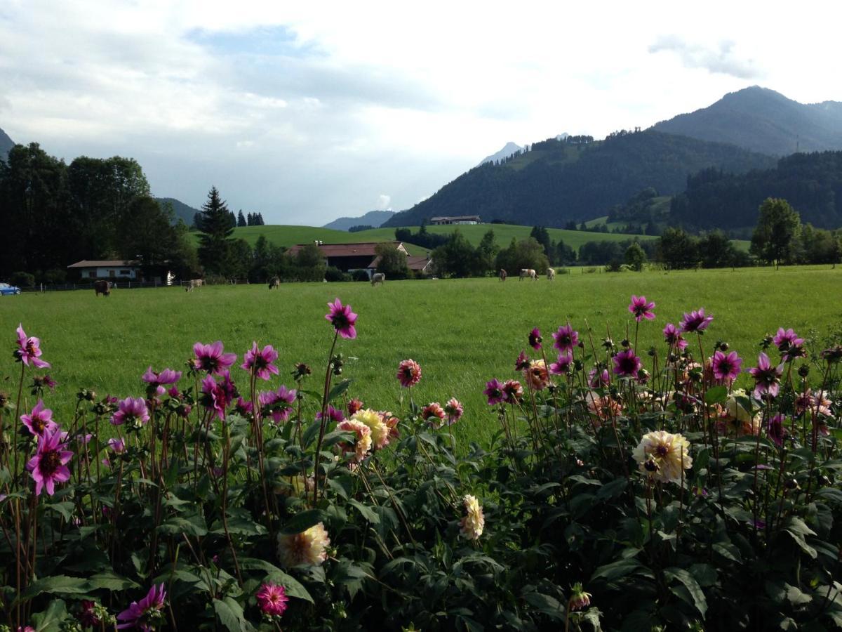 Bio-Bauernhof Bachangerhof كوسن المظهر الخارجي الصورة