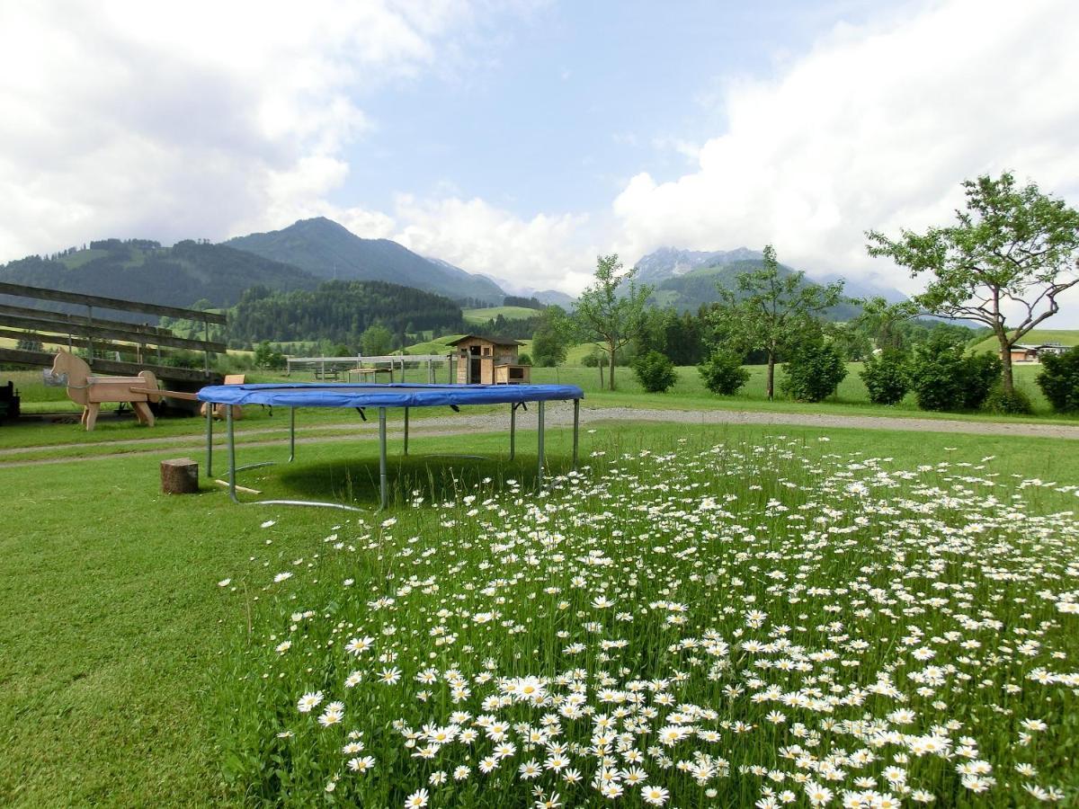 Bio-Bauernhof Bachangerhof كوسن المظهر الخارجي الصورة