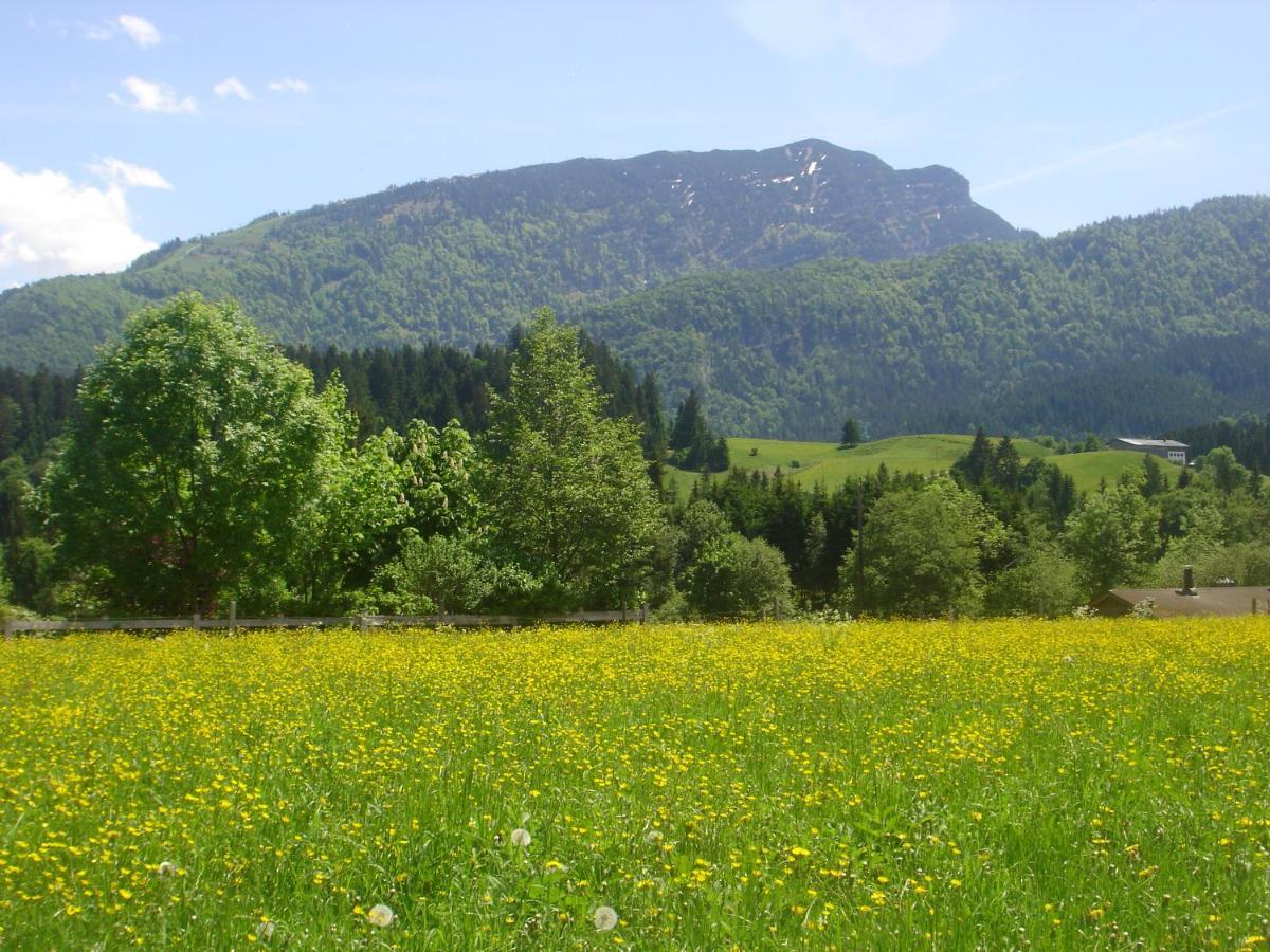 Bio-Bauernhof Bachangerhof كوسن المظهر الخارجي الصورة