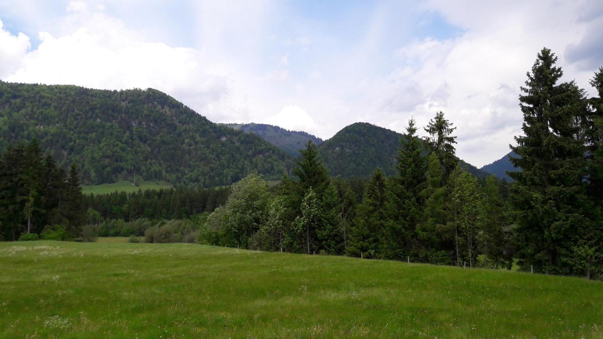 Bio-Bauernhof Bachangerhof كوسن المظهر الخارجي الصورة