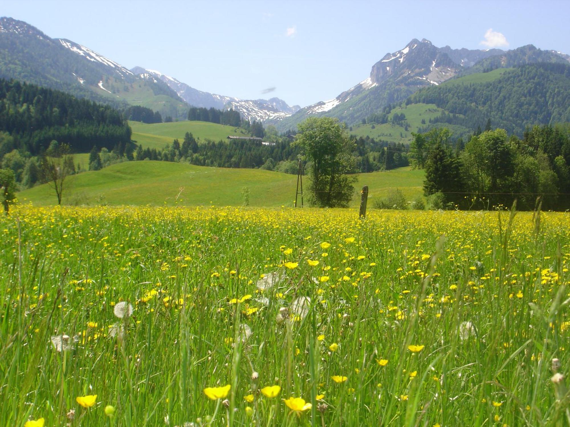 Bio-Bauernhof Bachangerhof كوسن المظهر الخارجي الصورة